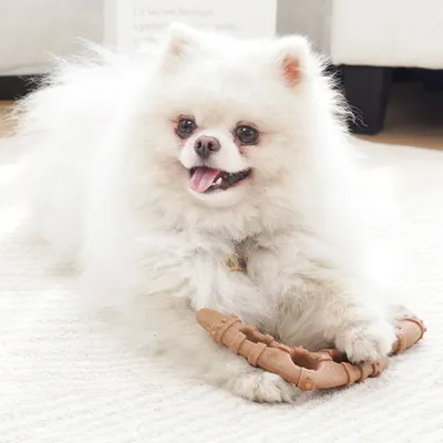 PetTribes Jouet à Mâcher Chien Résistant, Os Dentition PetTribes Jouet à Mâcher Chien Résistant, Os Dentition