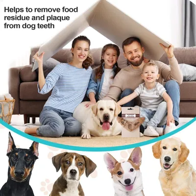 PetTribes Jouet à Mâcher Chien Résistant, Os Dentition PetTribes Jouet à Mâcher Chien Résistant, Os Dentition