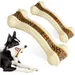 HausPets 2er Pack Unzerstörbare Kauknochen Rindgeschmack Hunde