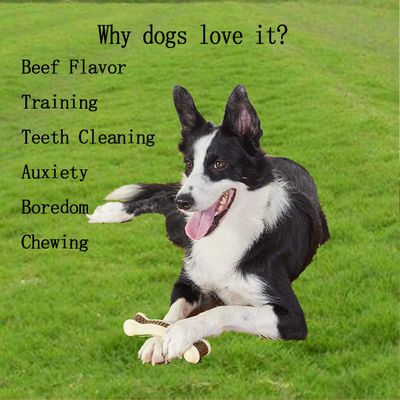HausPets Lot de 2 Os à Mâcher Indestructibles Goût Bœuf Chiens