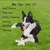 HausPets Lot de 2 Os à Mâcher Indestructibles Goût Bœuf Chiens HausPets Lot de 2 Os à Mâcher Indestructibles Goût Bœuf Chiens