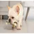 HausPets Lot de 2 Os à Mâcher Indestructibles Goût Bœuf Chiens HausPets Lot de 2 Os à Mâcher Indestructibles Goût Bœuf Chiens