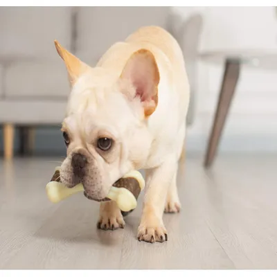 HausPets Lot de 2 Os à Mâcher Indestructibles Goût Bœuf Chiens HausPets Lot de 2 Os à Mâcher Indestructibles Goût Bœuf Chiens