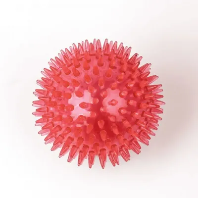 3pc Lot de 3 balles couinantes pour chien 6,5 cm 3pc Lot de 3 balles couinantes pour chien 6,5 cm