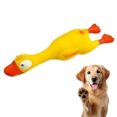 Pawffee Jouets pour chiens crissant - 2 canards en latex résistants Pawffee Jouets pour chiens crissant - 2 canards en latex résistants