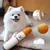 FurryFusion Jouet en forme de cigarette pour chien FurryFusion Jouet en forme de cigarette pour chien