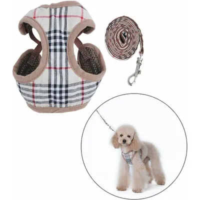 m Petit Chien Harnais et Laisses m Petit Chien Harnais et Laisses