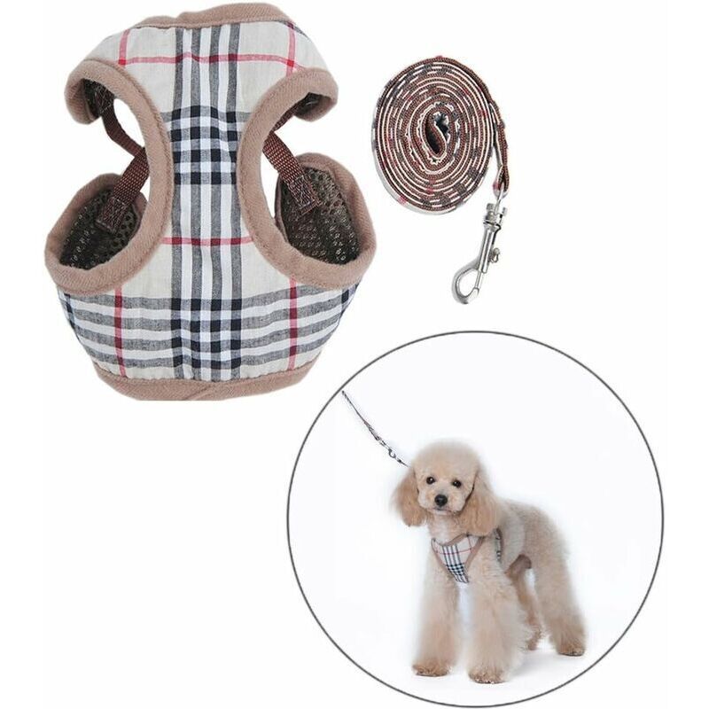 m Petit Chien Harnais et Laisses