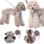 m Petit Chien Harnais et Laisses m Petit Chien Harnais et Laisses