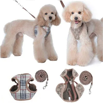 m Petit Chien Harnais et Laisses m Petit Chien Harnais et Laisses