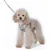 m Petit Chien Harnais et Laisses m Petit Chien Harnais et Laisses