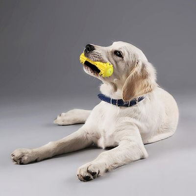 PetTribes Jouet à Mâcher Indestructible Chien