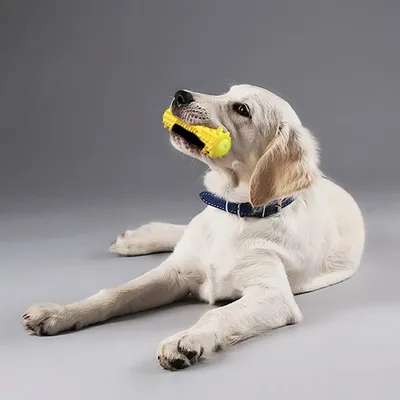 PetTribes Jouet à Mâcher Indestructible Chien PetTribes Jouet à Mâcher Indestructible Chien