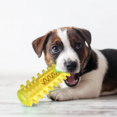 PetTribes Jouet à Mâcher Indestructible Chien PetTribes Jouet à Mâcher Indestructible Chien