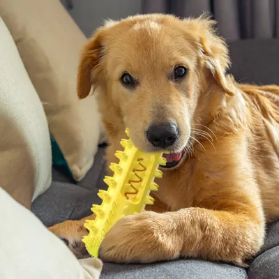 PetTribes Jouet à Mâcher Indestructible Chien PetTribes Jouet à Mâcher Indestructible Chien