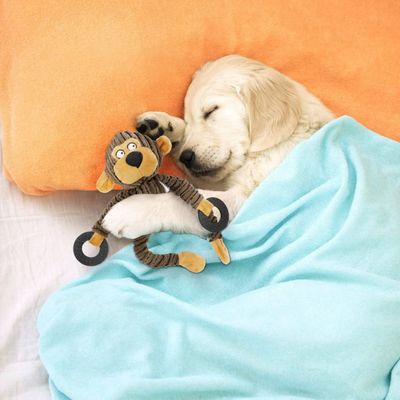FurryFusion Jouet en peluche sonore pour petits chiens