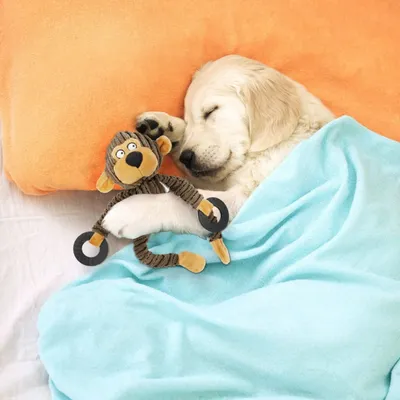 FurryFusion Jouet en peluche sonore pour petits chiens FurryFusion Jouet en peluche sonore pour petits chiens