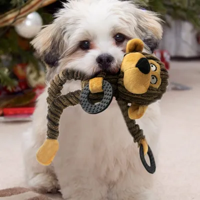 FurryFusion Jouet en peluche sonore pour petits chiens FurryFusion Jouet en peluche sonore pour petits chiens