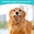 PetTribes Jouet à Mâcher Chien Résistant, Os Dentition PetTribes Jouet à Mâcher Chien Résistant, Os Dentition