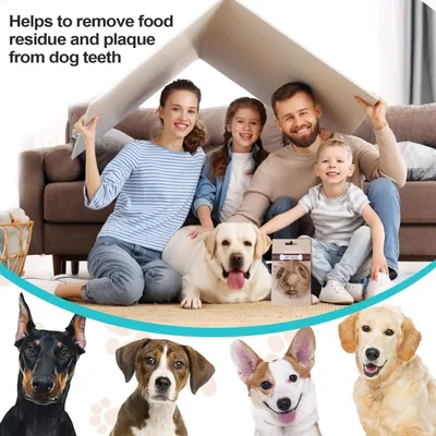 PetTribes Jouet à Mâcher Chien Résistant, Os Dentition PetTribes Jouet à Mâcher Chien Résistant, Os Dentition