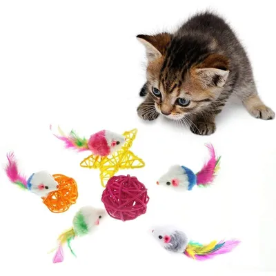 Lot de 10 jouets à fourrure Souris pour chat animal de compagnie Lot de 10 jouets à fourrure Souris pour chat animal de compagnie