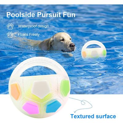 ZooVenture Balle Chien Manche Antistress Grelot