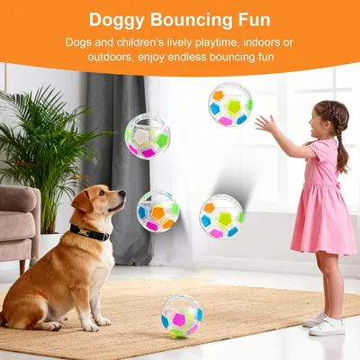 ZooVenture Balle Chien Manche Antistress