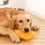 FurryFusion Ballon de football américain pour chiens FurryFusion Ballon de football américain pour chiens