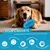 HausPets Jouet de rugby en caoutchouc pour chien HausPets Jouet de rugby en caoutchouc pour chien