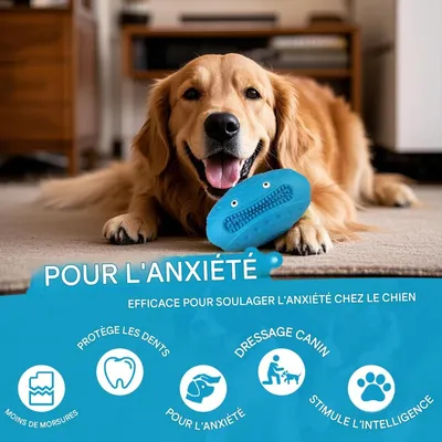 HausPets Jouet de rugby en caoutchouc pour chien HausPets Jouet de rugby en caoutchouc pour chien