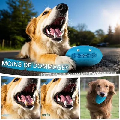 HausPets Jouet de rugby en caoutchouc pour chien HausPets Jouet de rugby en caoutchouc pour chien