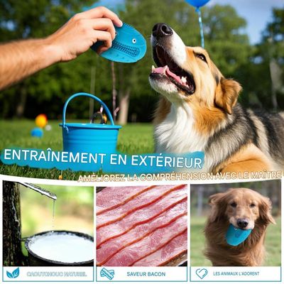 HausPets Jouet de rugby en caoutchouc pour chien