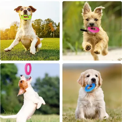 ZooVenture Jouets Dentition Chiot - Caoutchouc, 3 Pièces, 9,5cm ZooVenture Jouets Dentition Chiot - Caoutchouc, 3 Pièces, 9,5cm