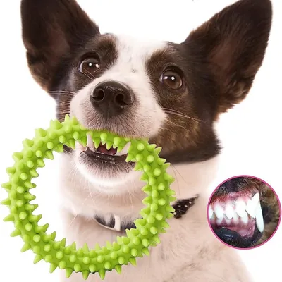 ZooVenture Jouets Dentition Chiot - Caoutchouc, 3 Pièces, 9,5cm ZooVenture Jouets Dentition Chiot - Caoutchouc, 3 Pièces, 9,5cm