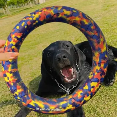 FurryFusion Jouet d'interaction pour chien: boule et anneau de ténacité FurryFusion Jouet d'interaction pour chien: boule et anneau de ténacité