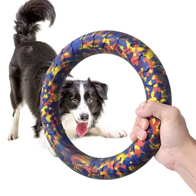FurryFusion Jouet d'interaction pour chien: boule et anneau de ténacité FurryFusion Jouet d'interaction pour chien: boule et anneau de ténacité