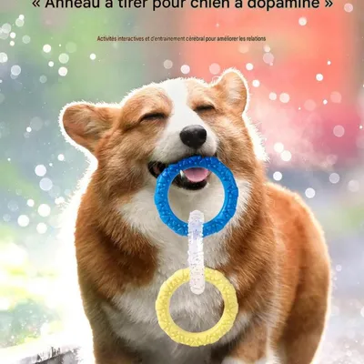 HausPets Jouet pour chien en forme de bague tricolore HausPets Jouet pour chien en forme de bague tricolore