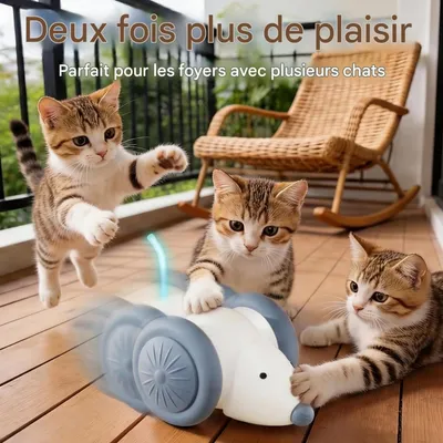 FurryFusion Jouet électronique télécommandé pour chat FurryFusion Jouet électronique télécommandé pour chat