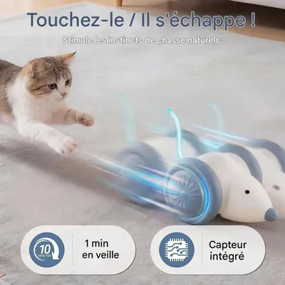 FurryFusion Jouet électronique télécommandé pour chat FurryFusion Jouet électronique télécommandé pour chat