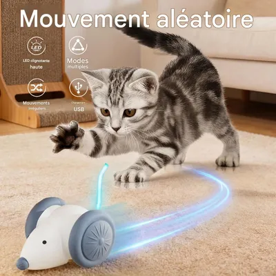 FurryFusion Jouet électronique télécommandé pour chat FurryFusion Jouet électronique télécommandé pour chat