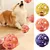 PetTribes Jouet pour Chat Balles Interactives avec Clochette PetTribes Jouet pour Chat Balles Interactives avec Clochette
