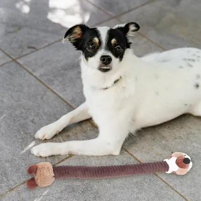 FurryFusion Jouet en peluche d'animal à long cou pour chien FurryFusion Jouet en peluche d'animal à long cou pour chien