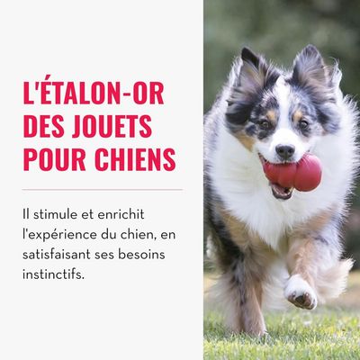 HausPets Classic jouet à remplir caoutchouc naturel rouge