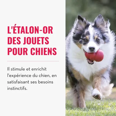 HausPets Classic jouet à remplir caoutchouc naturel rouge