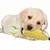 FurryFusion Jouet pour chien en forme de corncob FurryFusion Jouet pour chien en forme de corncob