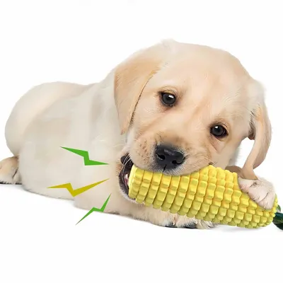 FurryFusion Jouet pour chien en forme de corncob FurryFusion Jouet pour chien en forme de corncob