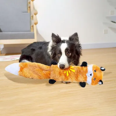 FurryFusion Jouet en peluche en forme de raton laveur pour chien FurryFusion Jouet en peluche en forme de raton laveur pour chien