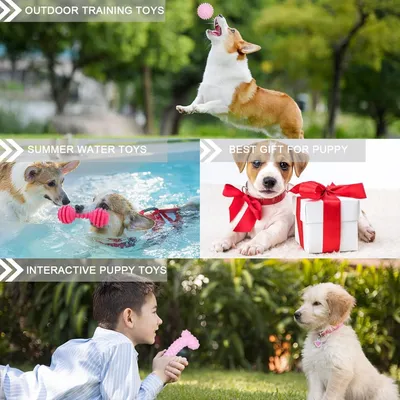 PetTribes Jouets Chiots x6 : Rose, Dentition Caoutchouc, Jeux Interactifs PetTribes Jouets Chiots x6 : Rose, Dentition Caoutchouc, Jeux Interactifs
