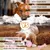PetTribes Jouets Chiots x6 : Rose, Dentition Caoutchouc, Jeux Interactifs PetTribes Jouets Chiots x6 : Rose, Dentition Caoutchouc, Jeux Interactifs