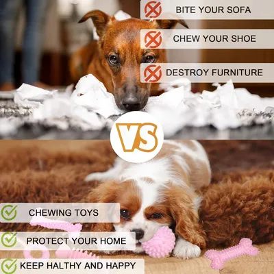 PetTribes Jouets Chiots x6 : Rose, Dentition Caoutchouc, Jeux Interactifs PetTribes Jouets Chiots x6 : Rose, Dentition Caoutchouc, Jeux Interactifs